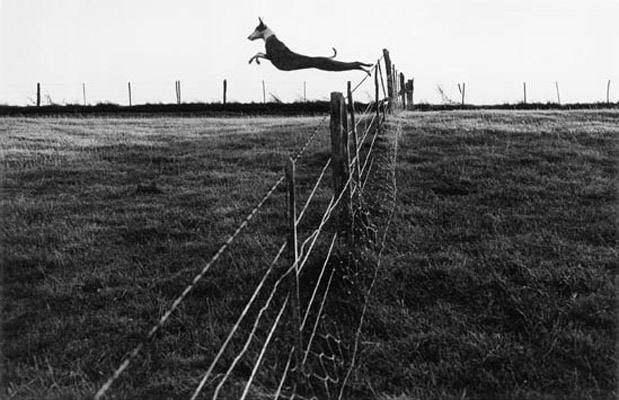 Fay Godwin