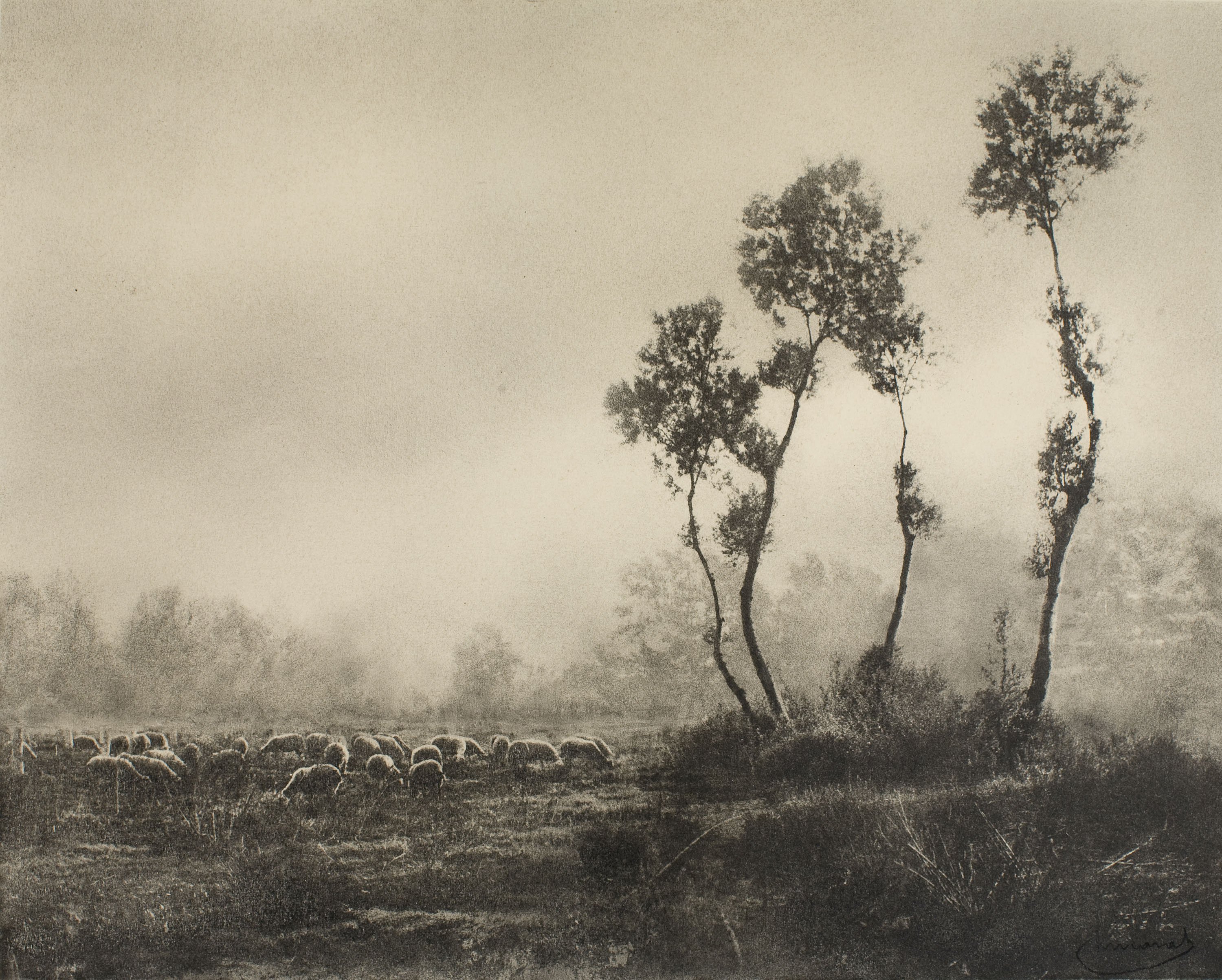Josep Maria Casals i Ariet