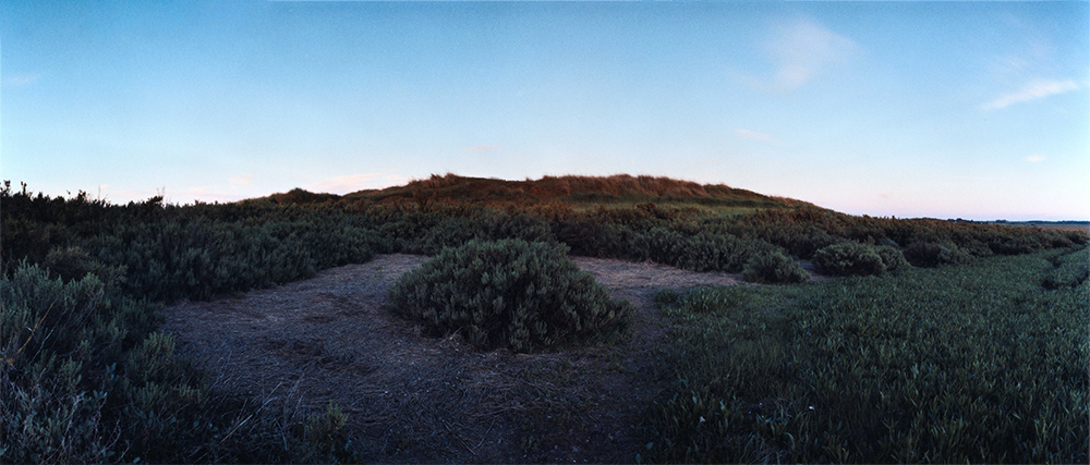 Chrystel Lebas