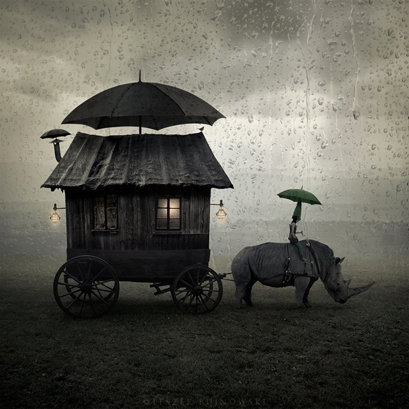 Leszek Bujnowski